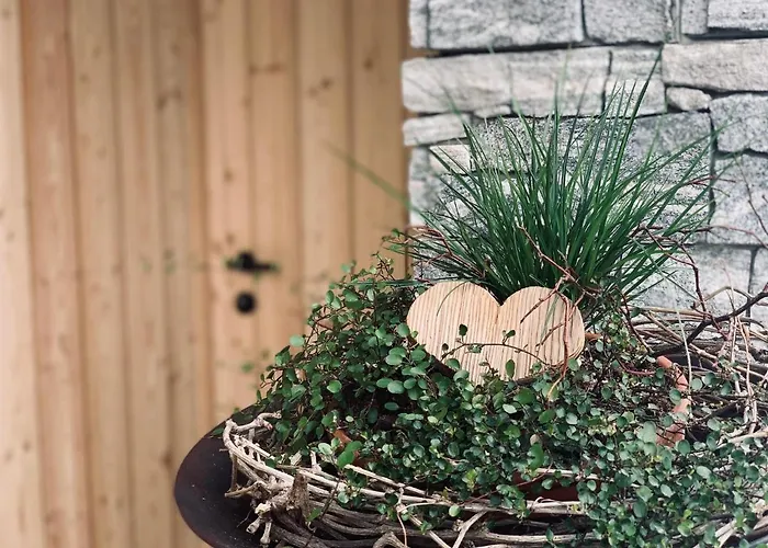 Appartement Troger Fieberbrunn